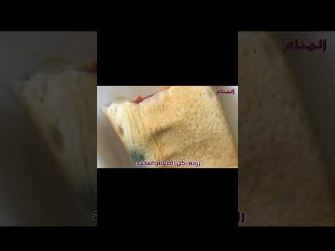 تفسير رؤية الطعام الفاسد في المنام لابن سيرين المنام قناة المنام قناة المنام المنام