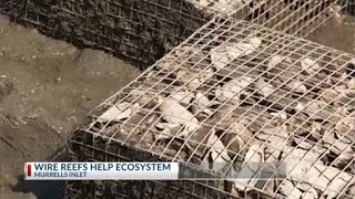 Wire reefs help ecosystem at Murrells Inlet