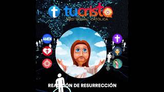 Red Social Católica: Reacción de Jesús Resucitado para el Gran Lanzamiento!