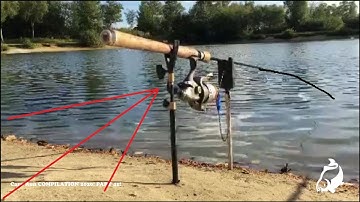 CARP RUN COMPILATION 2020