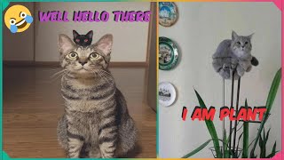 Funny Dogs And Cats Videos 2024 🐱 - New Best Funniest Animal Videos Of The Week by Meowtional 1,387 views 4 months ago 5 minutes, 42 seconds