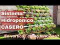 SISTEMA HIDROPONICO CASERO NFT en vertical (2020)