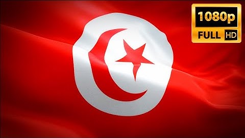 Tunisia waving flag. National 3d Tunis flag waving. Sign of Tunisian‎. Tunisia flag H