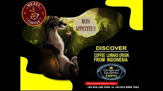 Coffee Luwaks , Types of Kopi Luwak Arabica \u0026 Kopi Luwak Robusta From Indonesia.