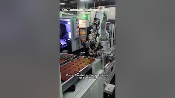 CNC machine automatic loading/unloading equipment#WorkplaceSafety #IndustrialRobots