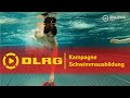DLRG Kampagne Schwimmausbildung