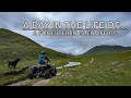 A day in the life of a forester  glen affric scottishhighlands
