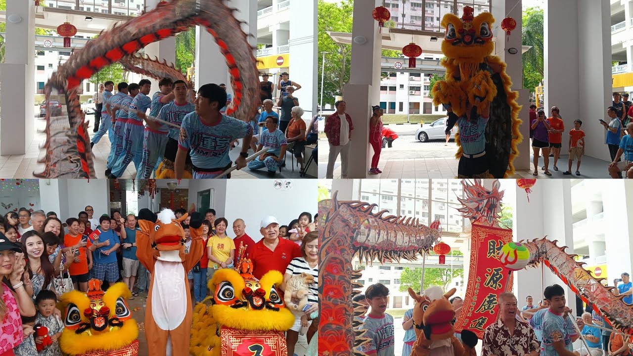 水莲宫龙狮学院 Shui Lian Gong Dragon and Lion Dance Caiqing Performance at Bukit Batok Central Blk 622