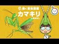 動く昆虫図鑑　カマキリのお話