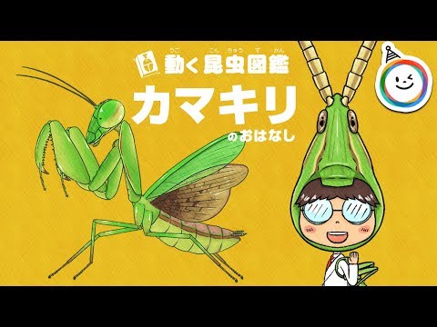 動く昆虫図鑑 カマキリのお話 Youtube