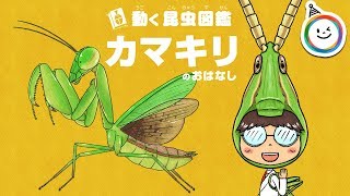 動く昆虫図鑑　カマキリのお話