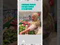 120 тысяч на еду: как живёт семья с 12 детьми