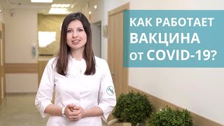 💉 Как работает вакцина от Covid-19, поствакцинальная реакция, группы риска. Как работает вакцина.