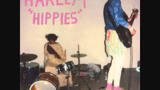 Video thumbnail of "Someday Soon - Harlem - Hippies"