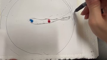 Exploring Eccentricity Lab