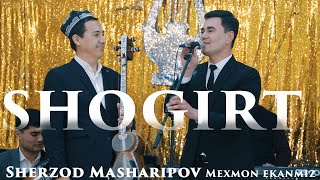 Sherzod Masharipov - Mexmon ekanmiz hammamiz jonli ijro to'yda Tele studio tamonida