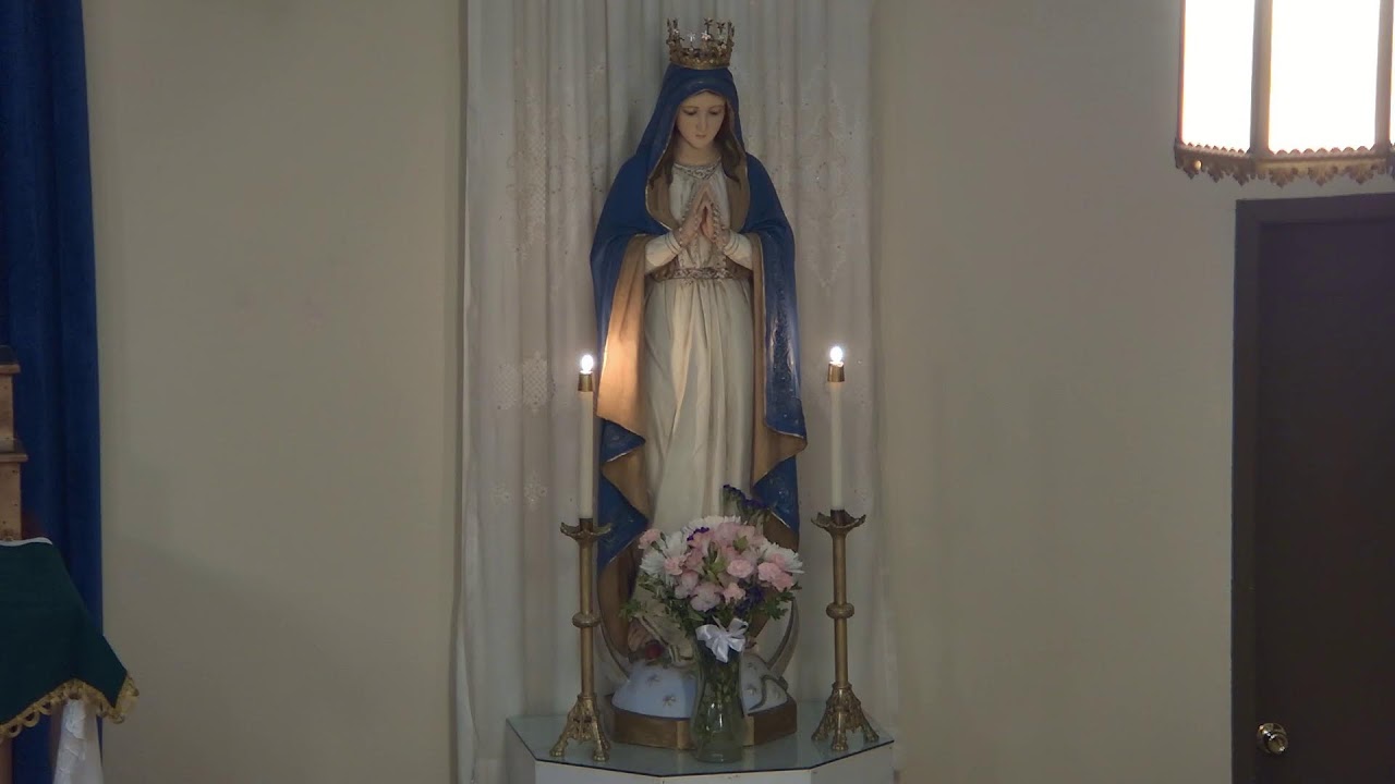 Rosary, November 10, 2024