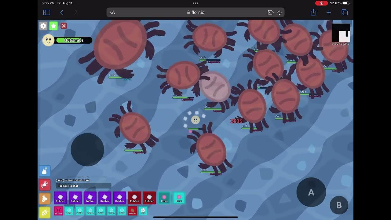 Rubber in Florr.io (Crab Kingdom) YouTube