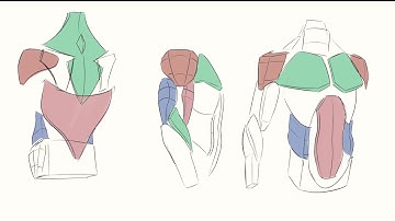 Z2H  Episode 3 - Anatomy Part I