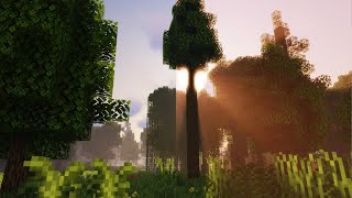 Sildurs Lite vs Extreme VL Minecraft Shader Comparison