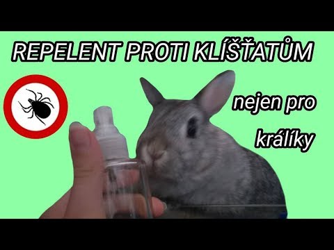 Video: Životnosť miniatúrnych kníračov