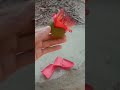 Amazing homemade toy  shorts