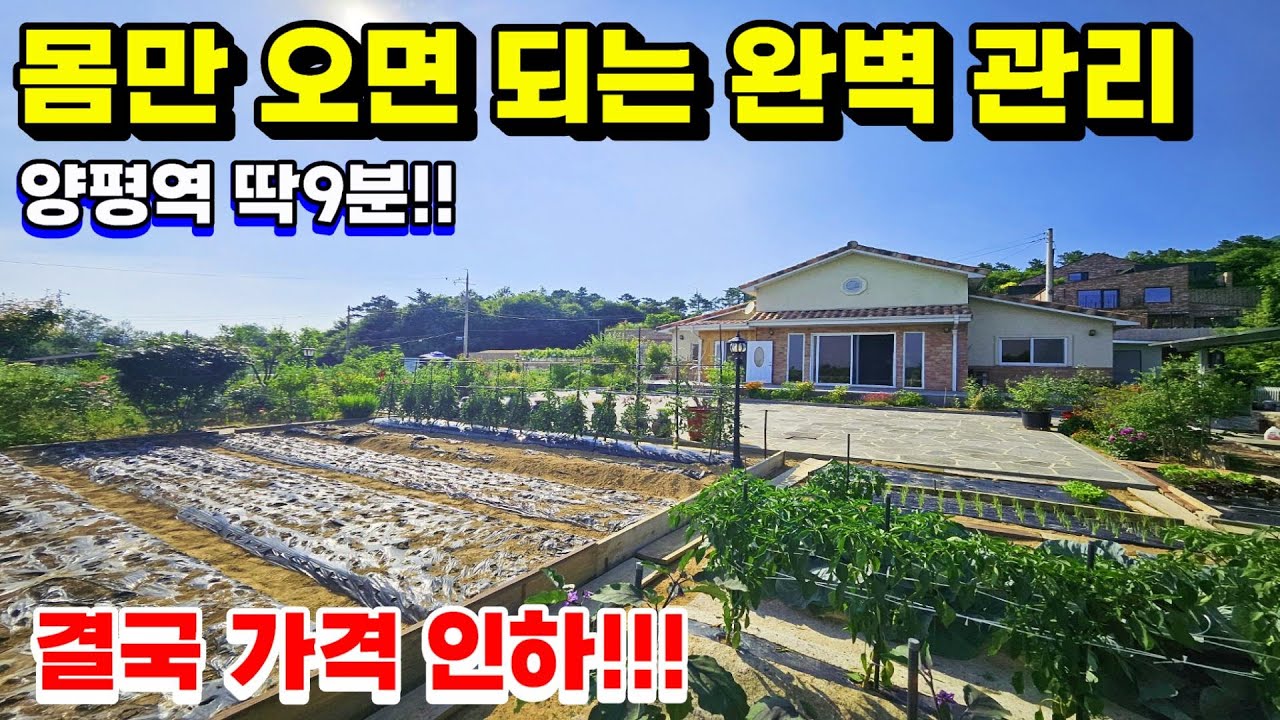 양평역 9분 결국 가격 내렸습니다! 역대급 관리 상태 현무암 정원 & 넓은 텃밭  양평전원주택급매 /  양평전원주택매매 / 전원주택급매물