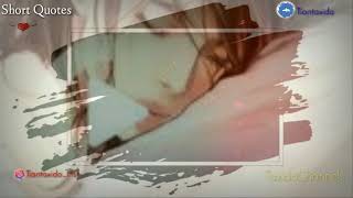 STORY WA || COVER LAGU TITI DJ || TAKKAN ADA CINTA YANG LAIN