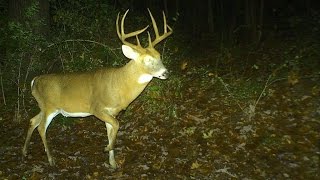 75.24 Acres For Sale in Lincoln County, Missouri Property For Sale In Lincoln County Mo
