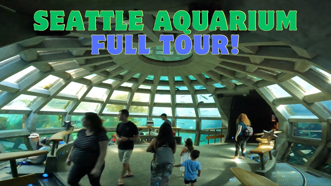 Seattle Aquarium and Epic Under Water Dome! - YouTube