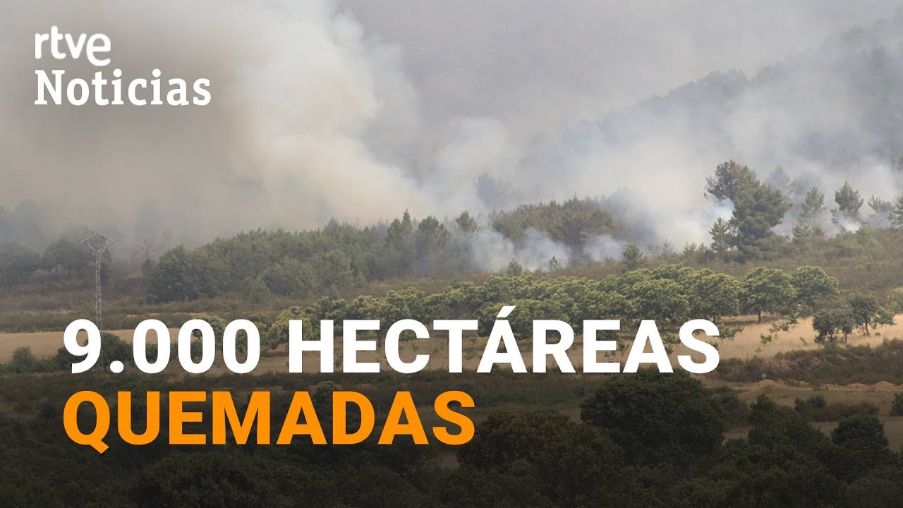 INCENDIO ZAMORA: 8 LOCALIDADES DESALOJADAS por el FUEGO de SIERRA CULEBRA | RTVE
