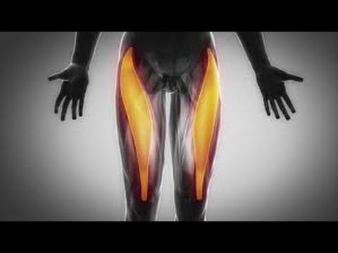 muscles of the foot #1 Most Common Cause of Hip & Lower Back Pain: R.Femoris & Hip Flexors ,Magical stretch & Release