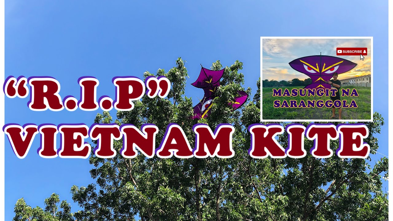 Diều sáo|RIP VIETNAM KITE/SURVIVOR| /VIETNAM KITE SARANGGOLA VLOG