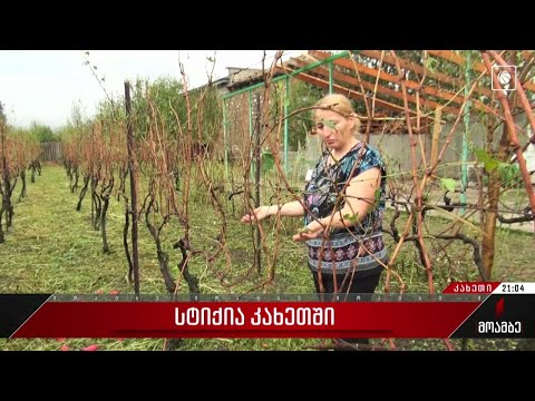 სტიქია კახეთში