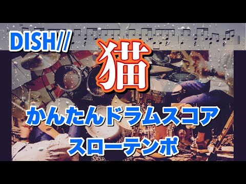 猫【かんたんver. スローテンポ ドラム楽譜】DISH// あいみょん ドラム簡単ver. ドラムスコア