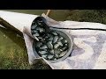 Amazing Fish Trapping System, New Technique of Catching Fish with Pipes