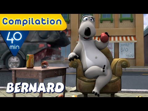 Bernard Bear | Leisure time COMPILATION | 40 MIN | Cartoons for Children | Full Episodes