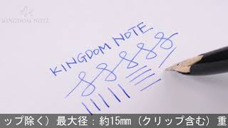 PILOT パイロット 万年筆 エリート95S ブラック 中字
