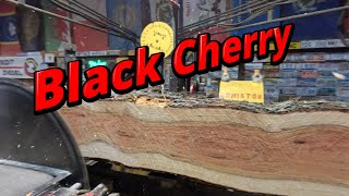 Download Lagu Sawing three pretty cherry logs # 823 MP3