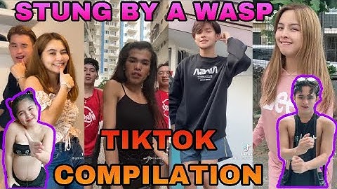 MOST VIEWED || STUNG BY A WASP TIKTOK COMPILATION