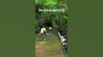 Vi vu vườn quốc gia Nam Cát Tiên #dulich #phuot