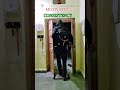 DAY-37 MOTIVATION 50% BUT DISCIPLINE 100%🏃 #motivationalvideo #motivation #discipline #runner #army