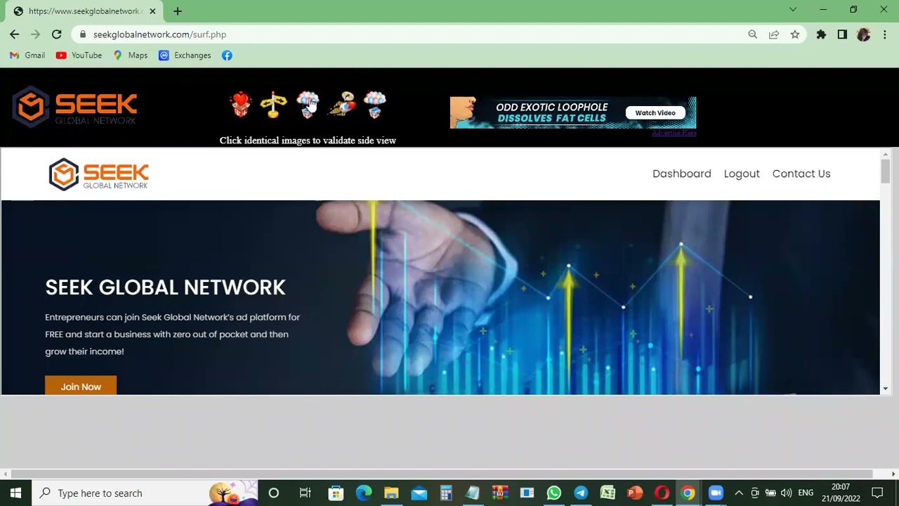 SEEK GLOBAL NETWORK   HOW TO DO YOUR DAILY TASK