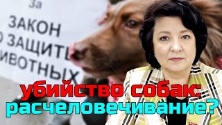 РАСЧЕЛОВЕЧЕНИЕ? ЗАКОН ОБ УБИЙСТВЕ СОБАК | ДЕПУТАТ ГЛАЗКОВА