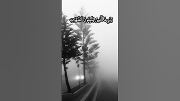 والله يريد أن يتوب عليكم ويريد الذين يتبعون الشهوات أن تميلوا ميلا عظيما الشيخ #المنشاوي سورة#النساء