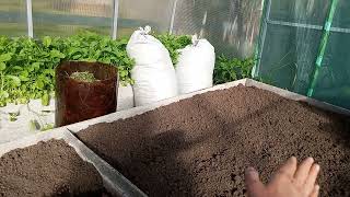 Подготовка грунта перед высадкой томатов.