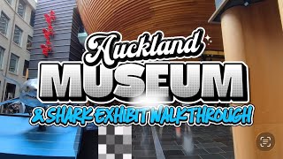 Shark Exhibit & Walkthrough Aucklands Museum | NZ Family Trip