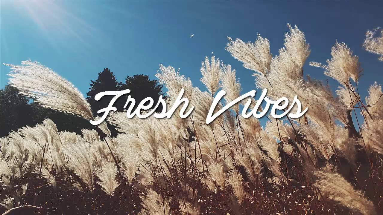 The Lonely Players Club - Hey Ma (ft. gnash, Goody Grace, 4e, & rosabeales)