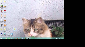 How to animate using MS paint + windows movie maker