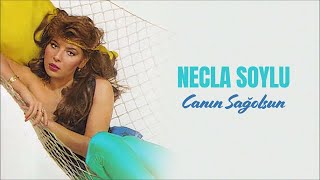 Necla Soylu - Ellerim Böyle Boş Mu Kalacaktı (Official Audio)